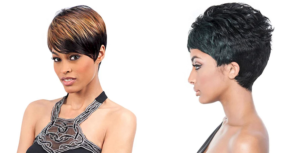 Pixie bob