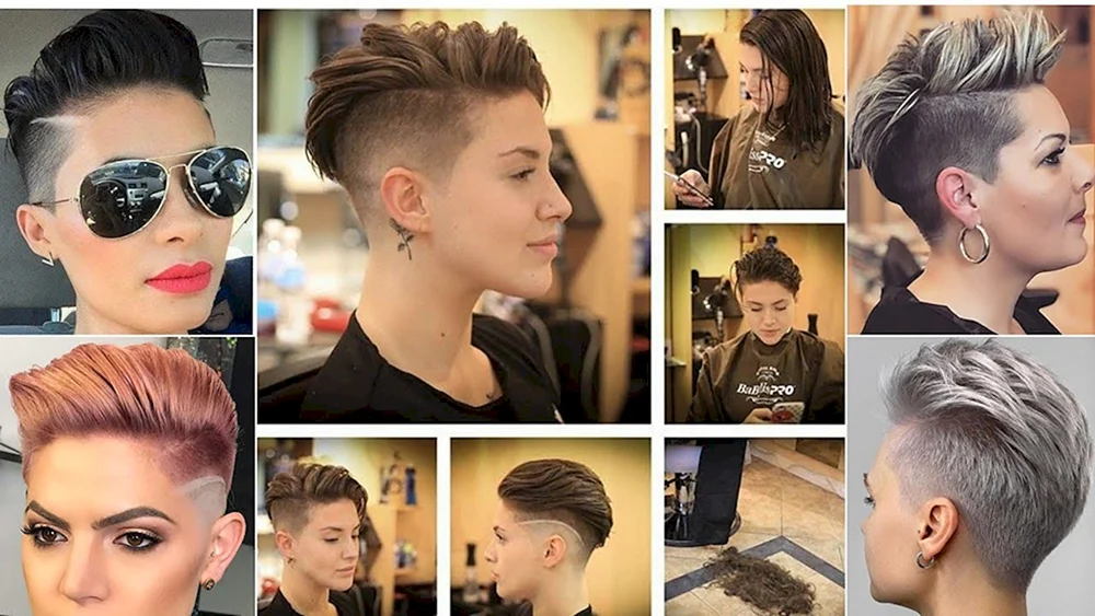 Pixie Bob Haarschnitt Korea