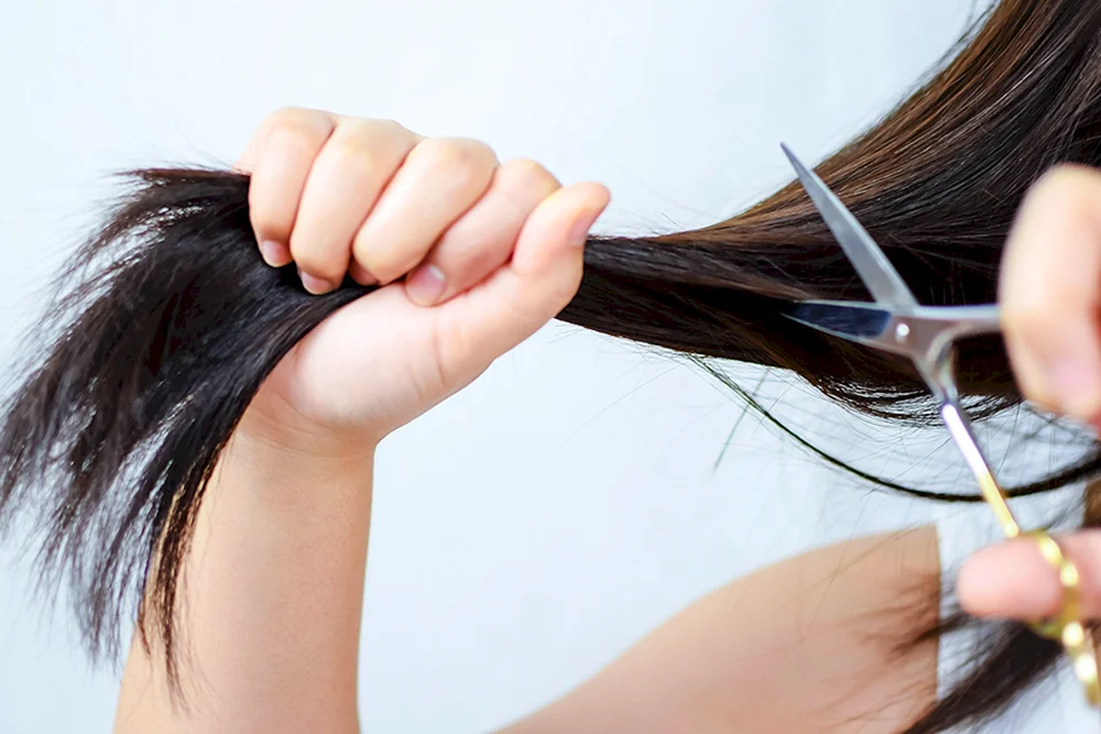 Geschnittenes Haar auf Boden blond