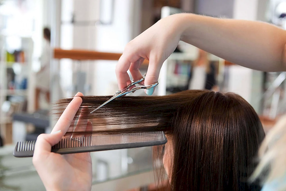 Haarschnitt Haare