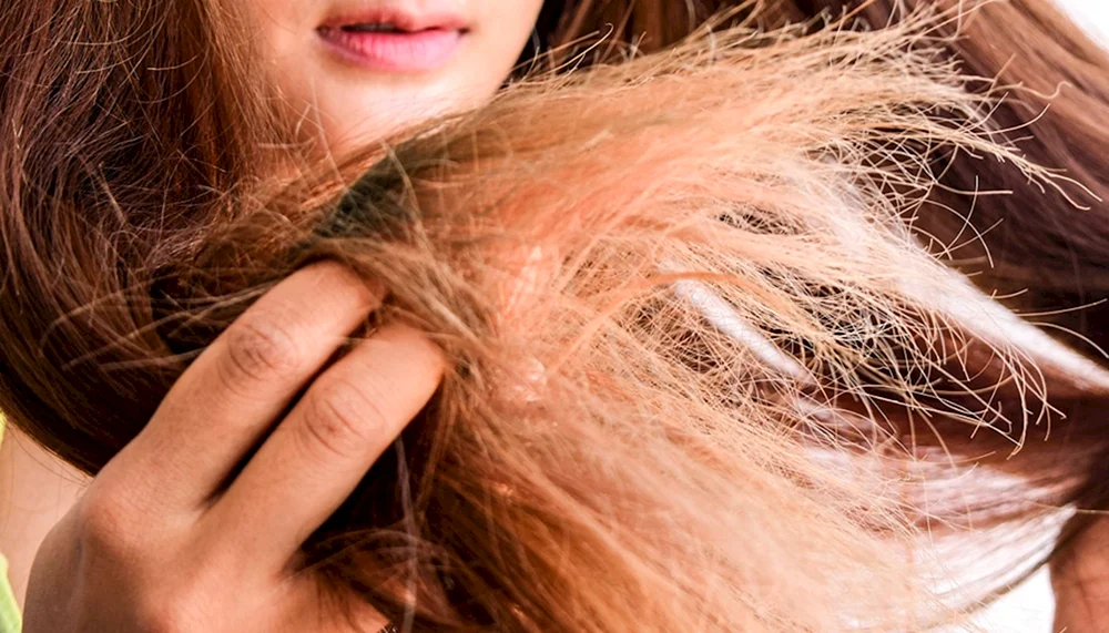 Trockenes und sprödes Haar