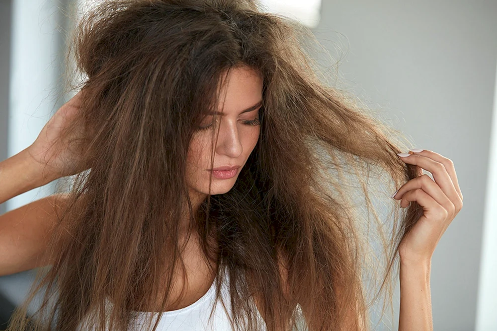 Trockenes Haar