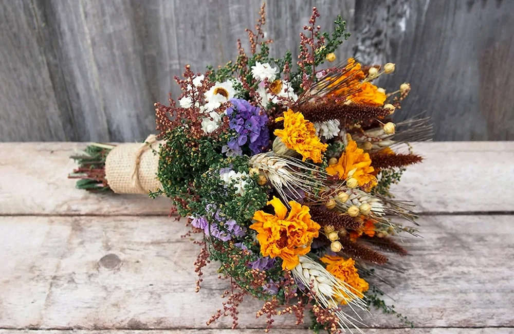 Ariel Buteau Herbstblumen