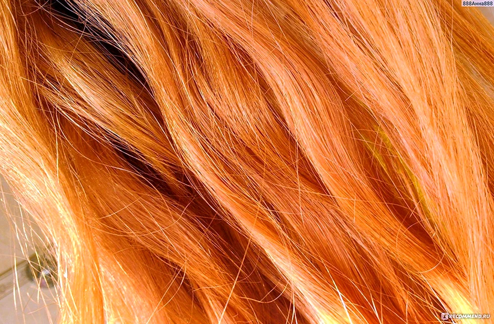 Loreal p78 Paprika