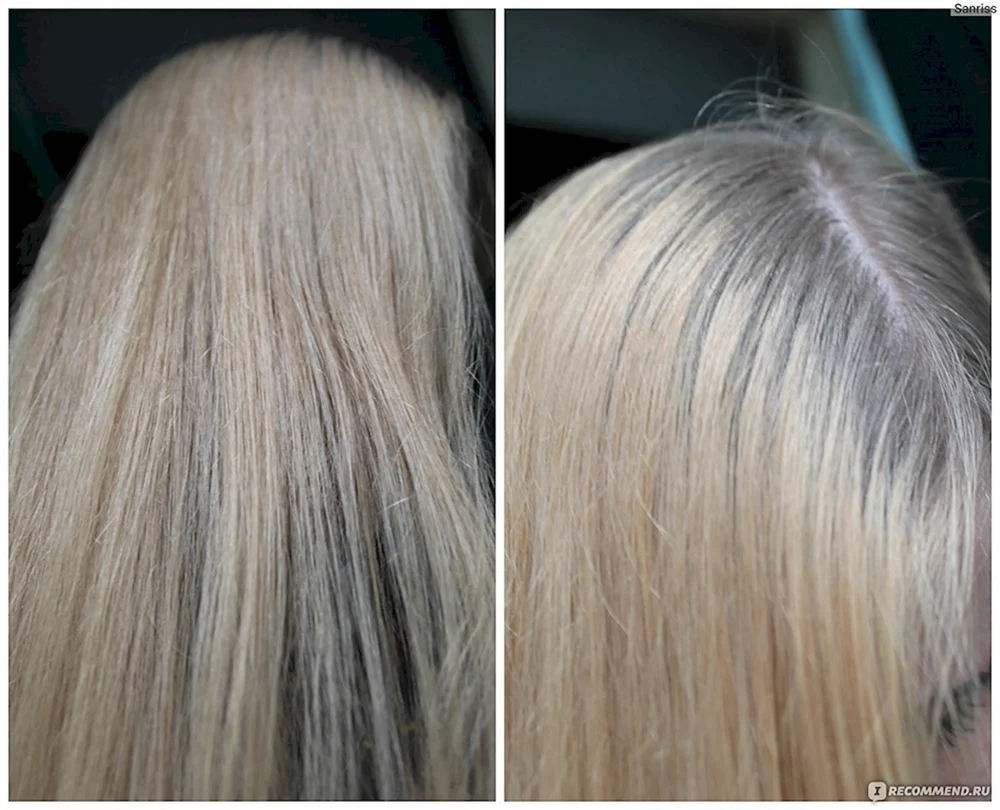 Garnier 7.12 Perlasche