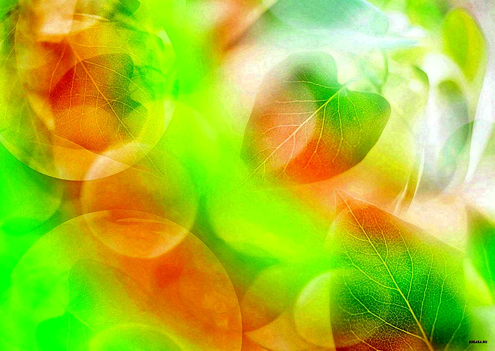 Hellgrüner Hintergrund