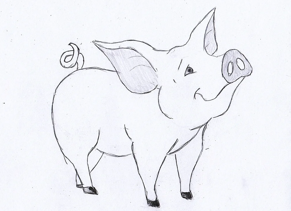 Löwe zeichnen