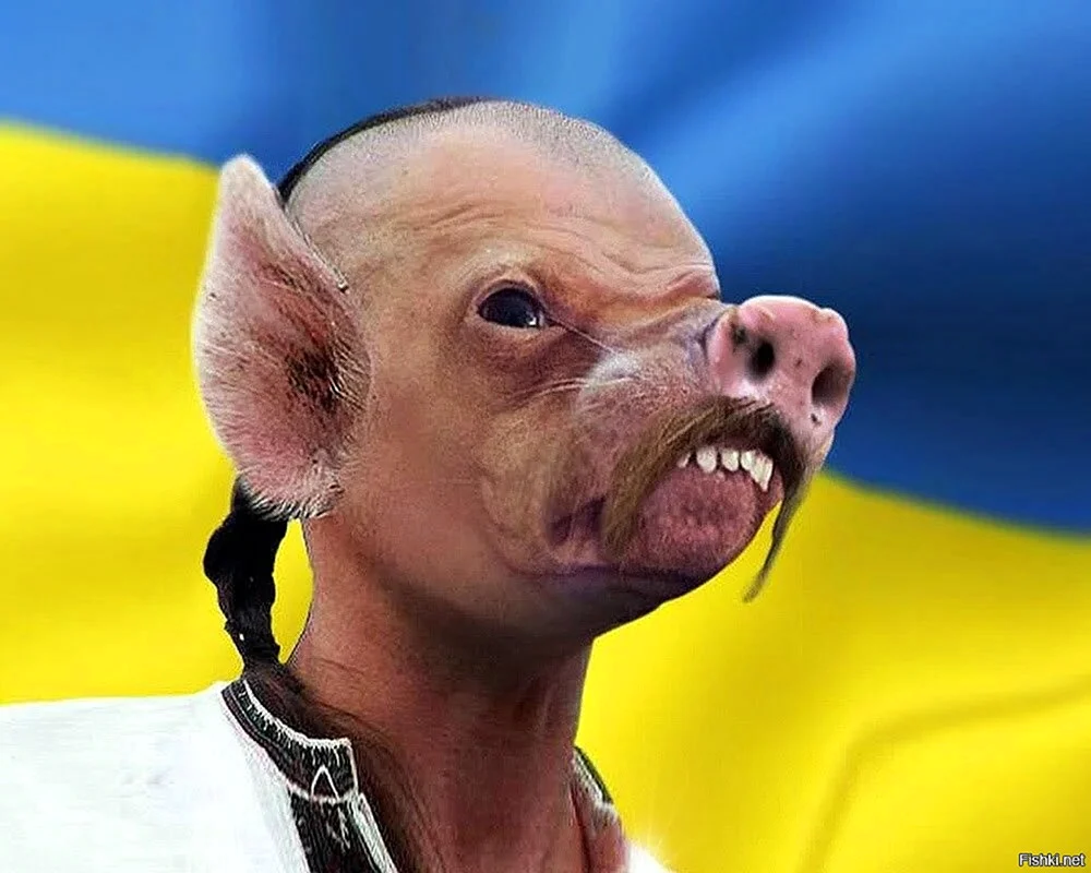 Yulia Tymoshenko