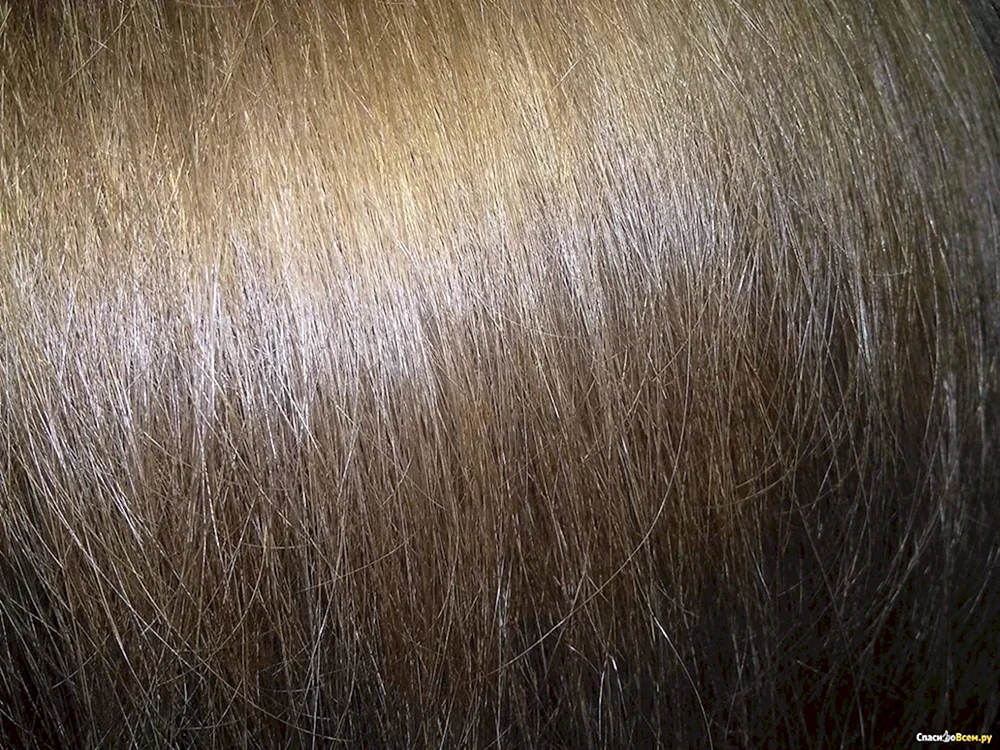 Milchschokolade Loreal 603