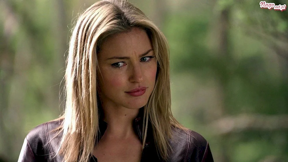 Cara Mason The Legend of the Seeker. Der Sucher