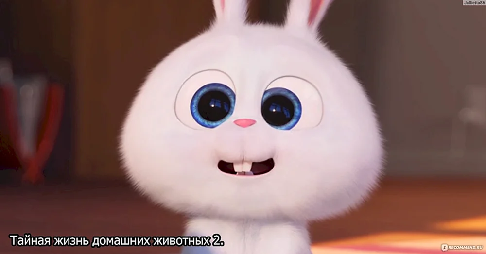Mad Rabbit Das geheime Leben der Haustiere