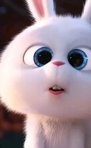 Schneeball Kaninchen Das geheime Leben der Haustiere 1