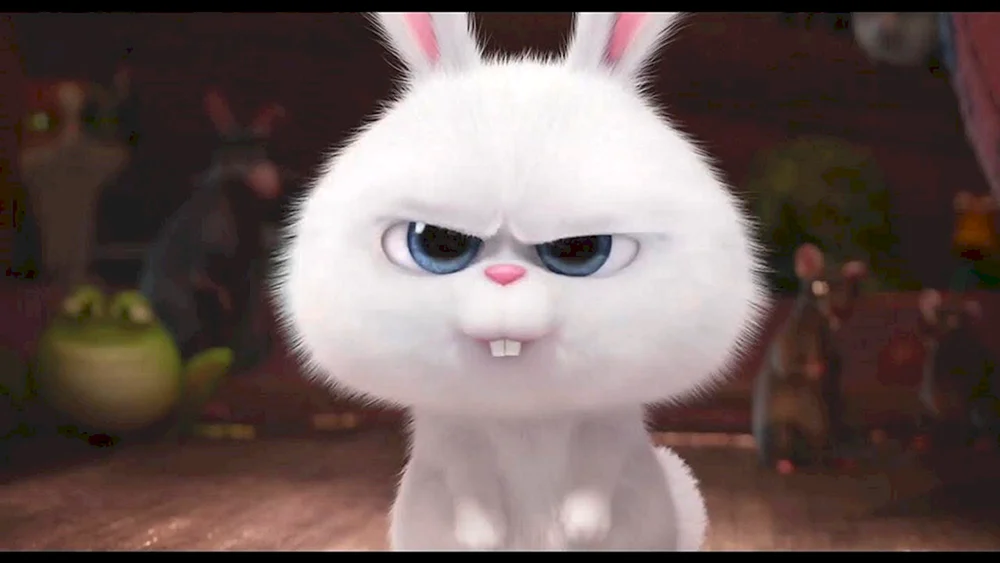 Das geheime Leben der Haustiere Hase Schneeball