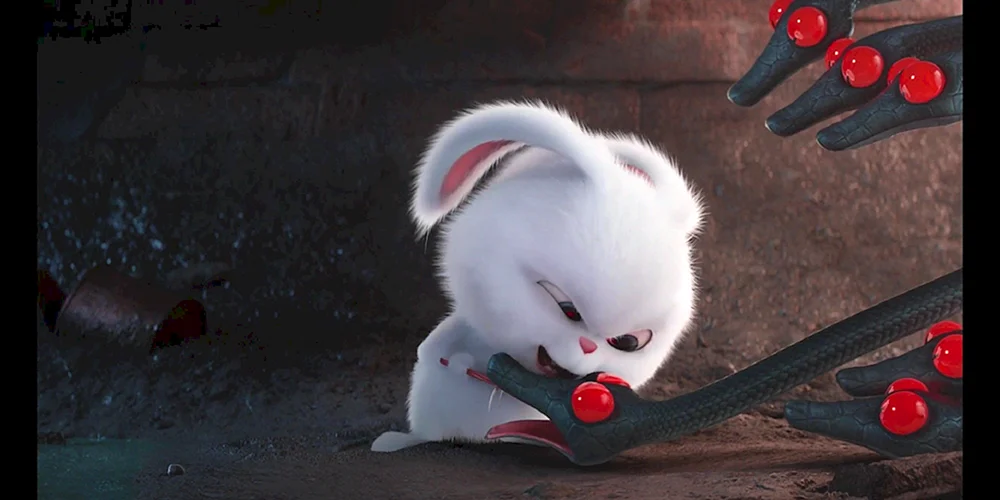 Das geheime Leben der Haustiere Hase Schneeball