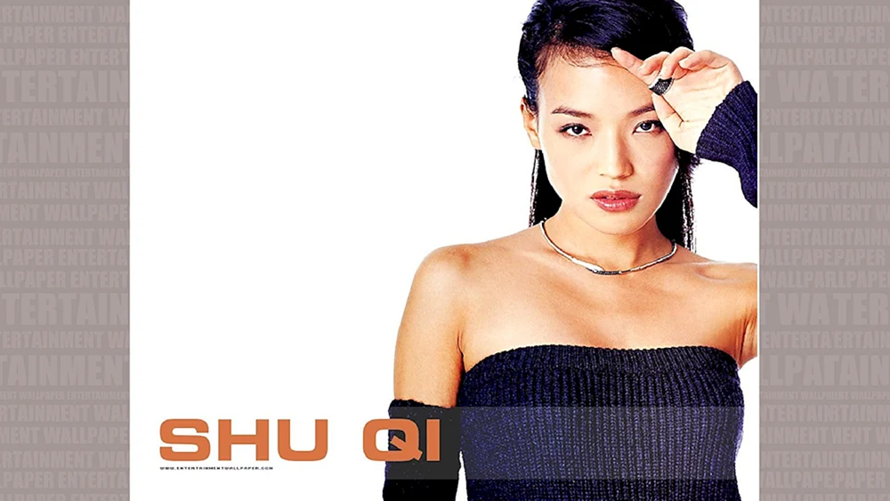 Shu Qi