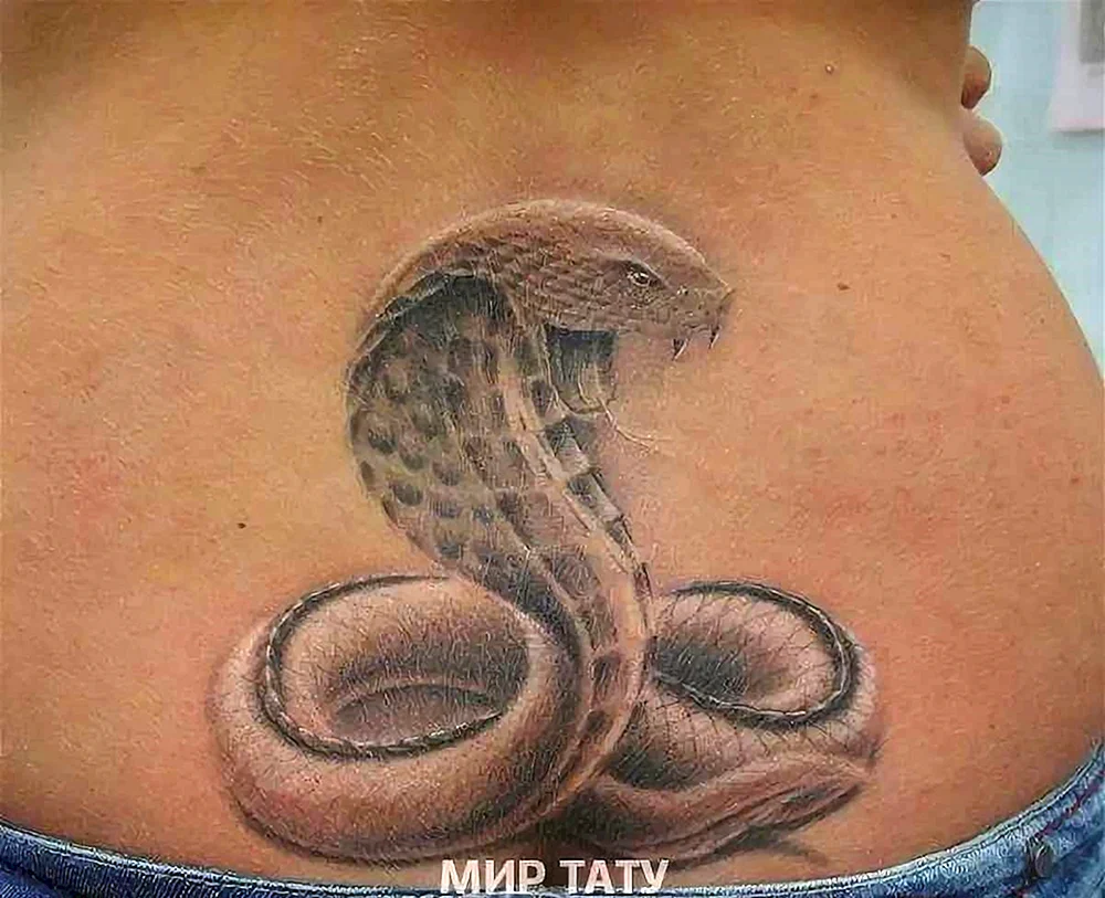 Schlangen Tattoo