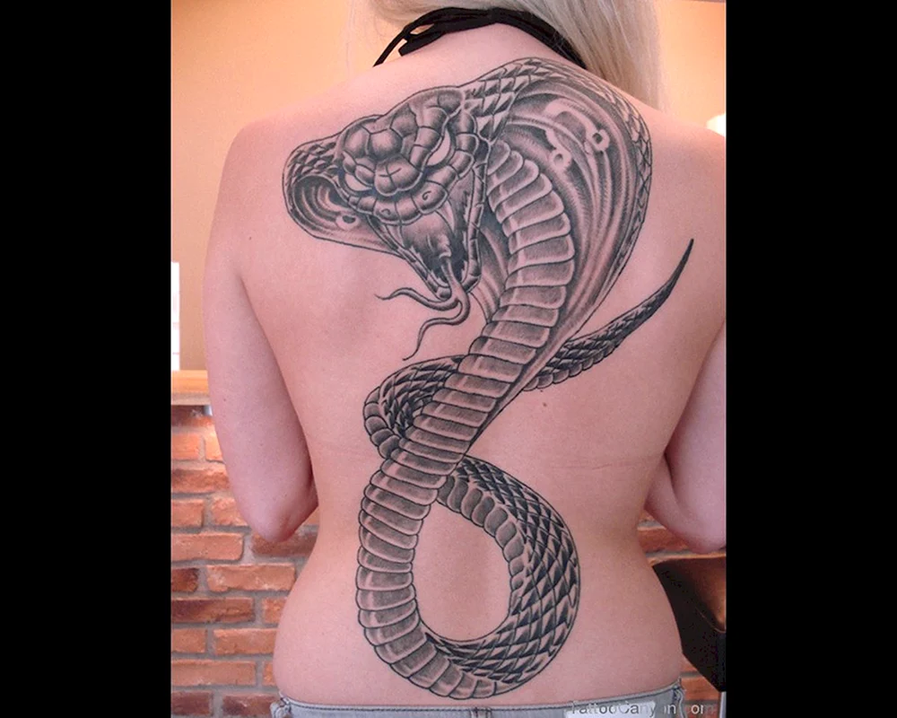 Schlangen-Tattoo-Designs