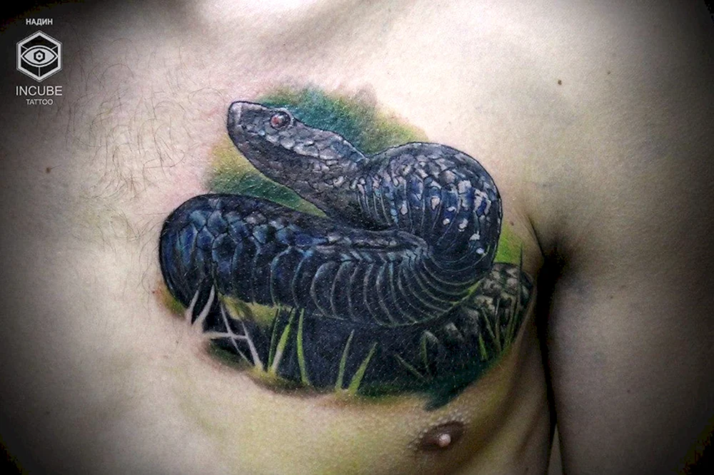 Schlangen-Tattoo auf der Brust