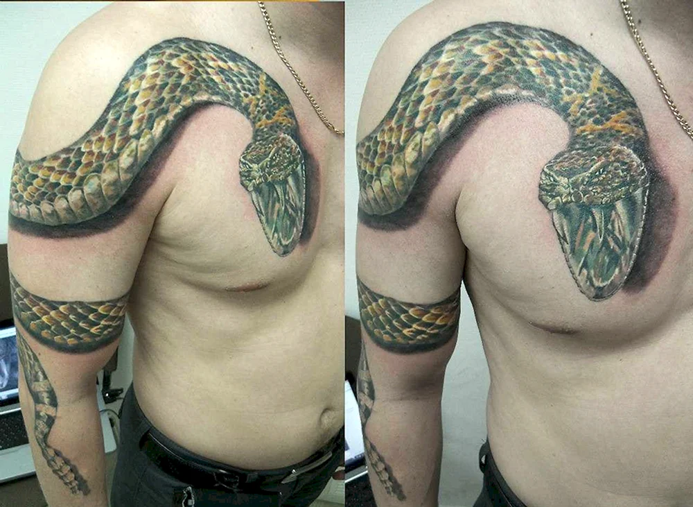 Schlangen Tattoo auf Arm