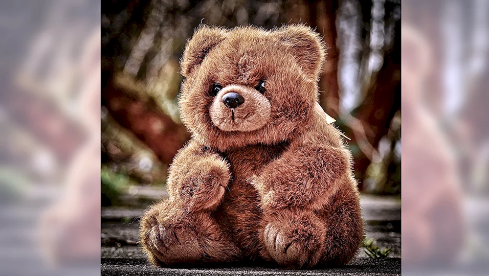 Weißbär