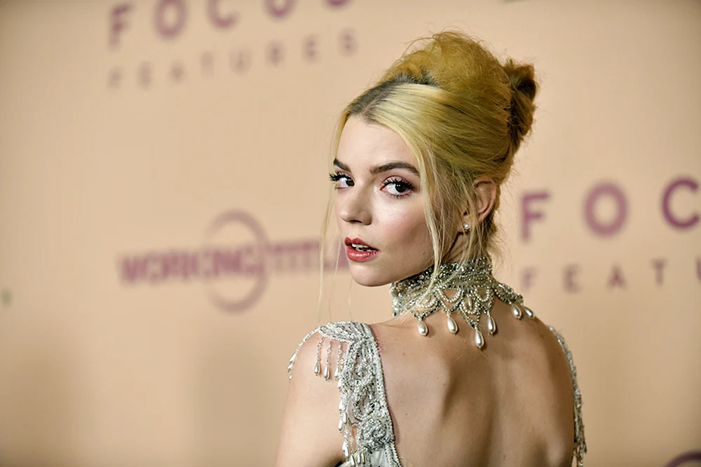 Taylor Freude