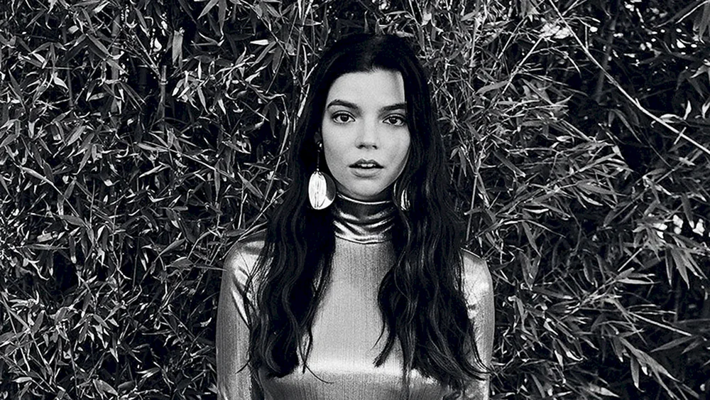 Taylor Freude