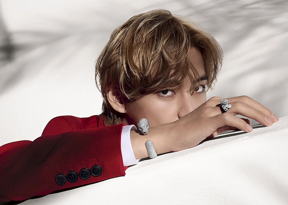 Taehyung BTS 2023