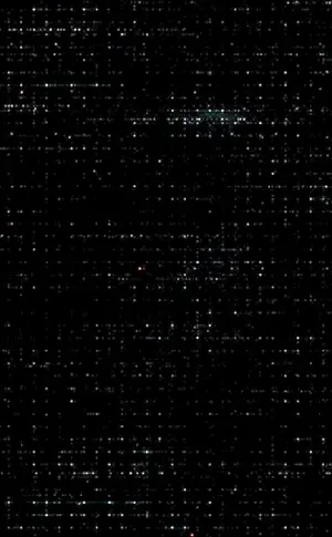Staubtextur