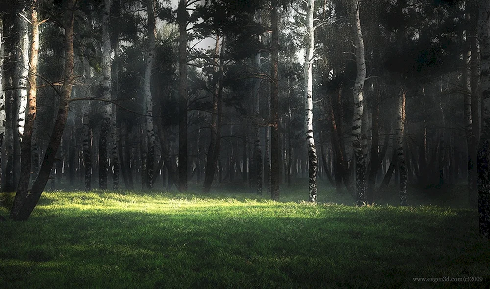 Wald