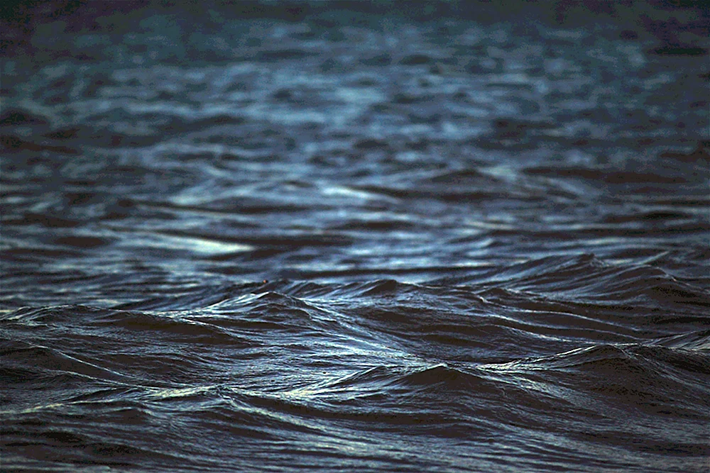 Schöne schwarze Farbe