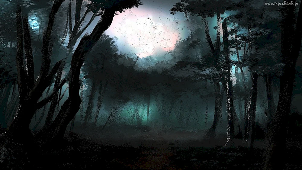 Dunkler Wald