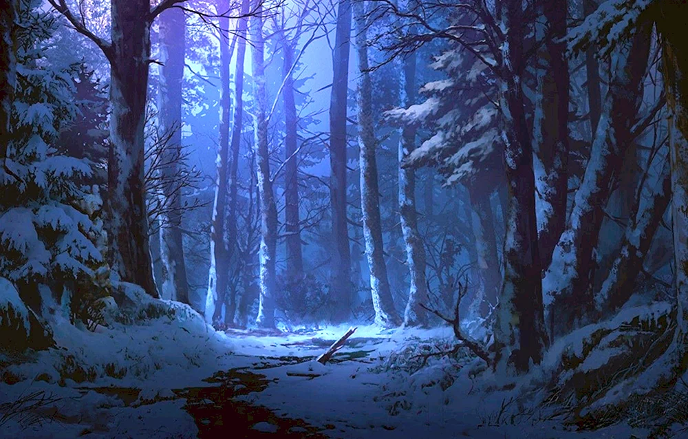 Deskriptiver Wald