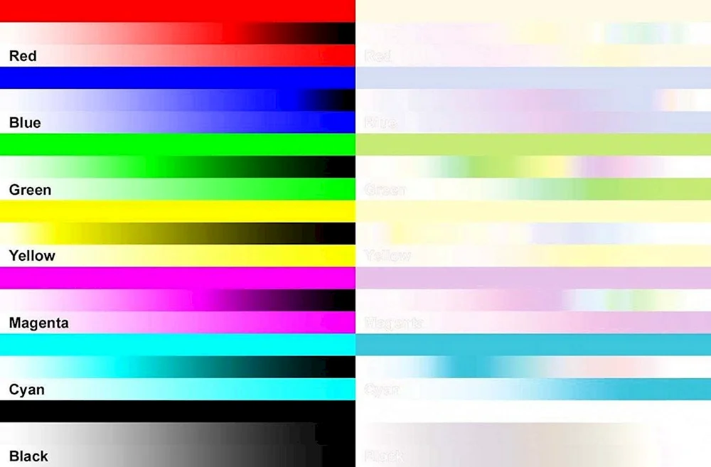 Epson Tintenstrahldrucker Testdruck