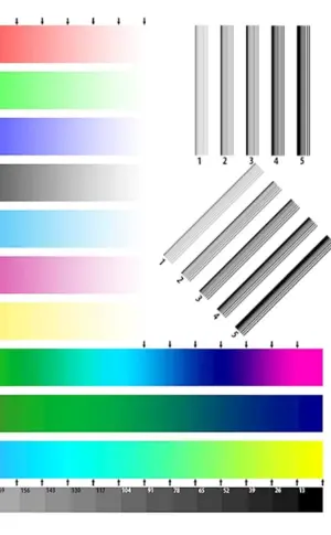 Epson Drucker Test 4 Farben