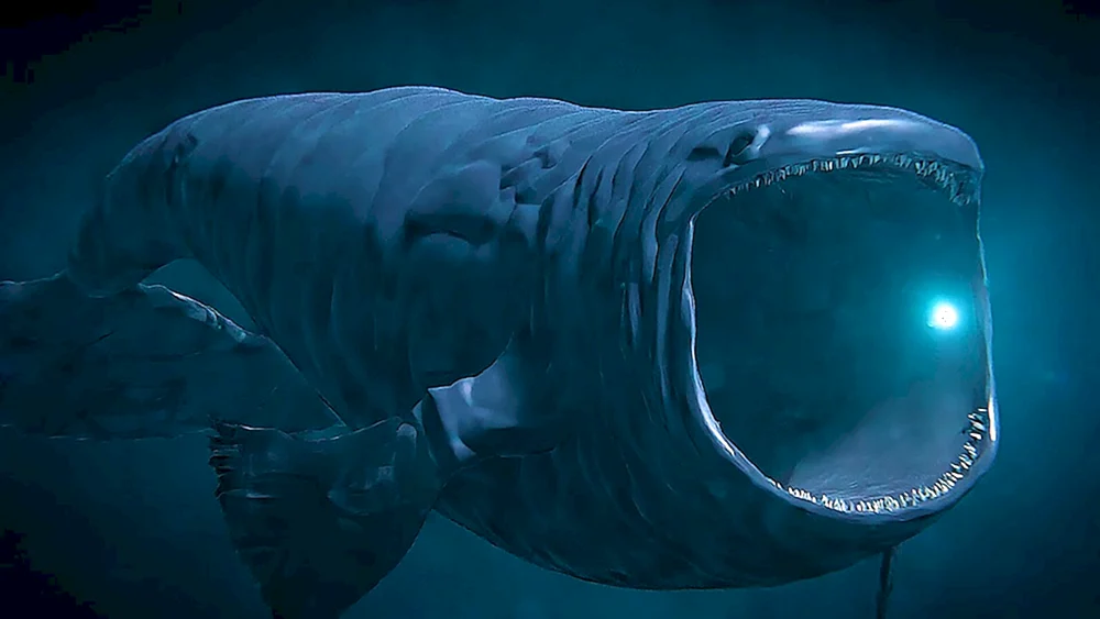 Das Bloop-Seeungeheuer Das Bloop-Seeungeheuer der Tiefe Das Bloop-Fischungeheuer Das Bloop-Seeungeheuer Das Bloop-Seeungeheuer Das Bloop-Seeungeheuer Das Bloop-Seeungeheuer Das Bloop-Seeungeheuer Das Bloop-Seeungeheuer Das Bloop-Seeungeheuer Der Marianengraben. Monsterbewohner Mosasaurus