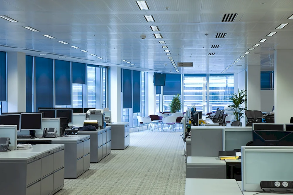 Das Büro