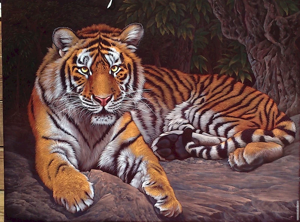 Tiger