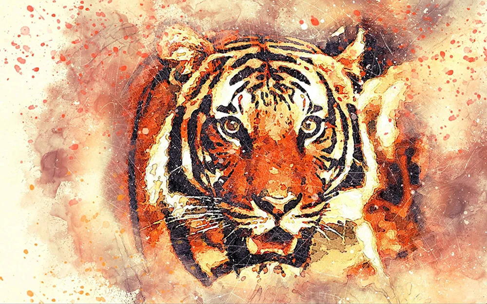 Tiger in Bleistift
