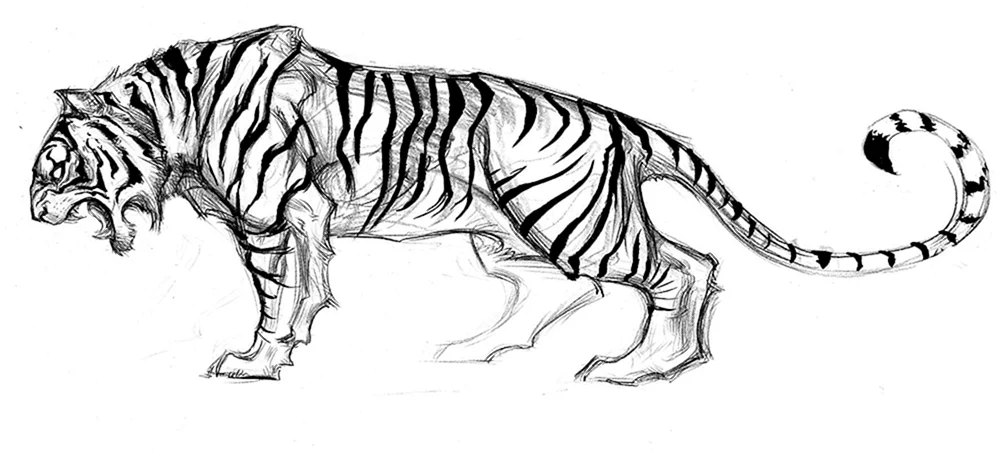 Tiger Bleistift