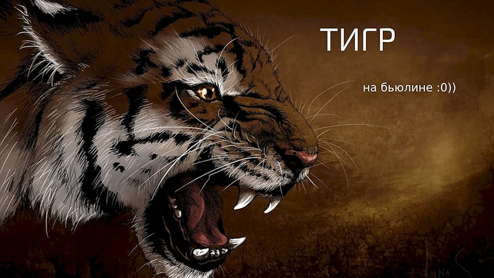 Tiger betäubt