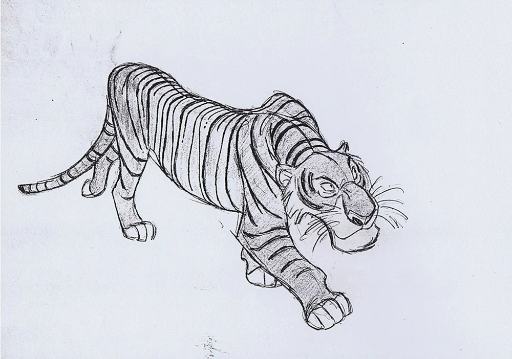 Tiger Zeichnung