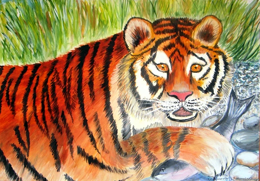 Tiger Zeichnung