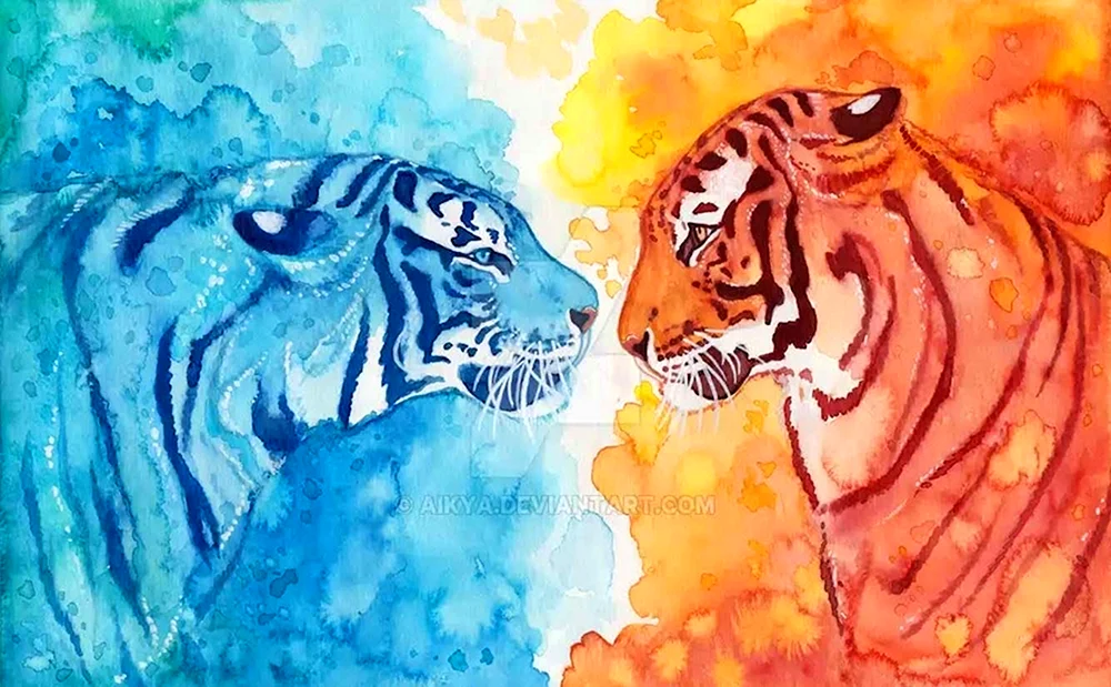 Tiger Zeichnung