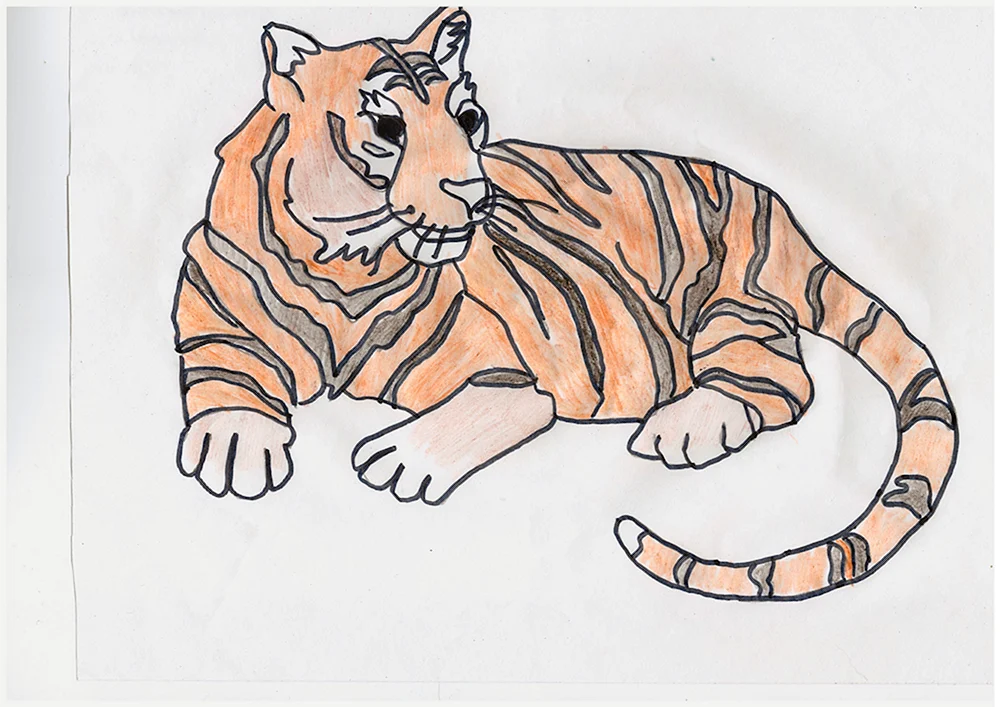 Tiger Bleistiftzeichnungen zum Zeichnen
