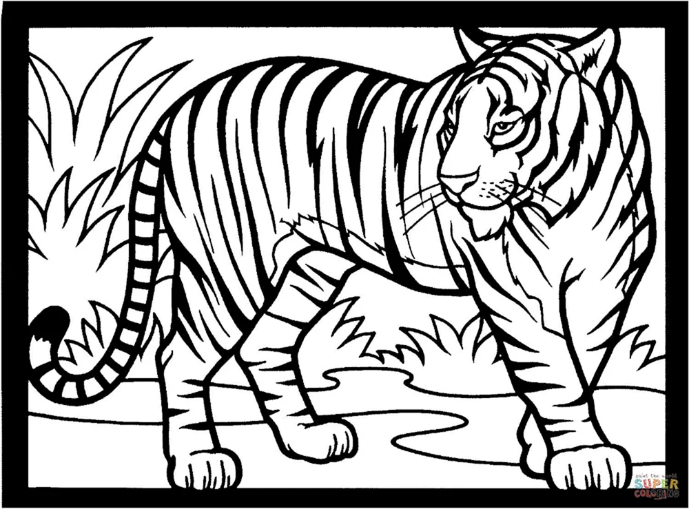 Tiger. Ausmalen