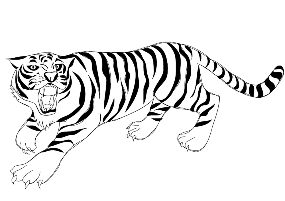 Tiger. Ausmalen