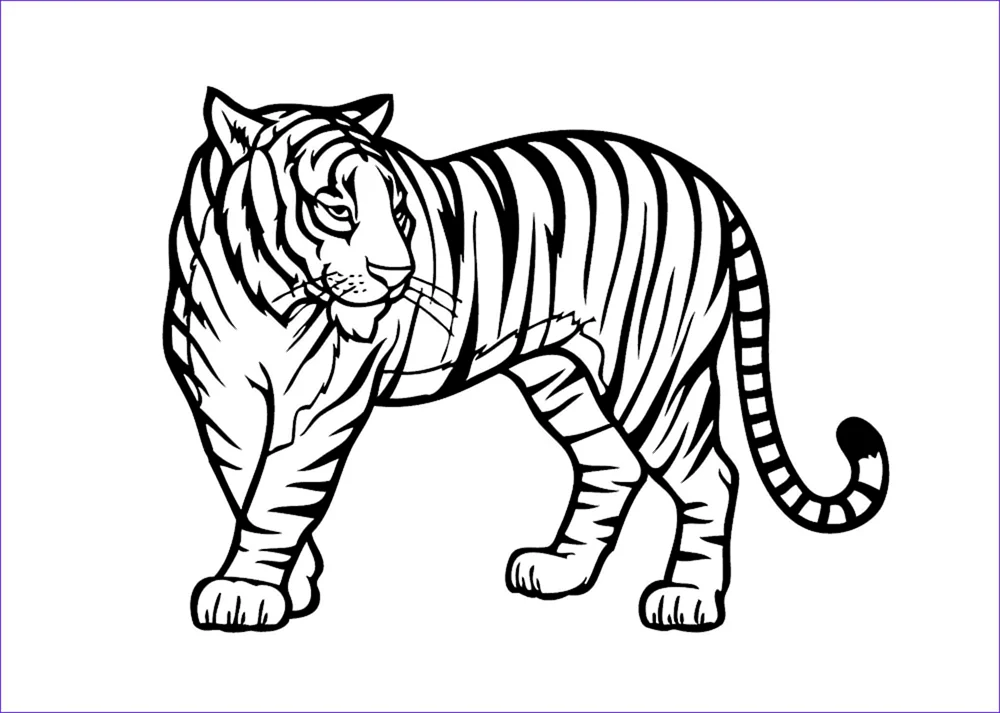 Tiger. Ausmalen