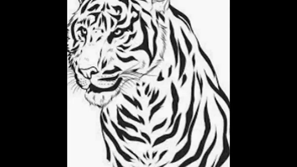 Tiger. Ausmalen