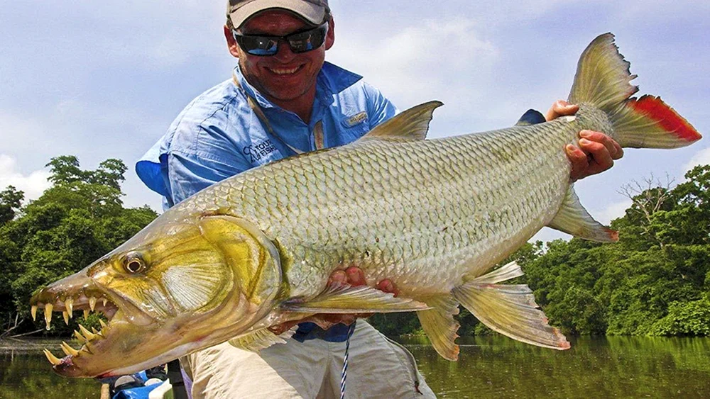Jeremy Wade arapaima