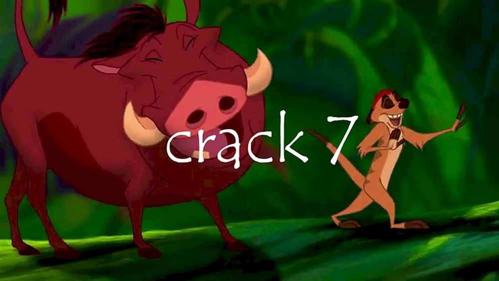 Timon und Pumbaa